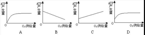 未命名2